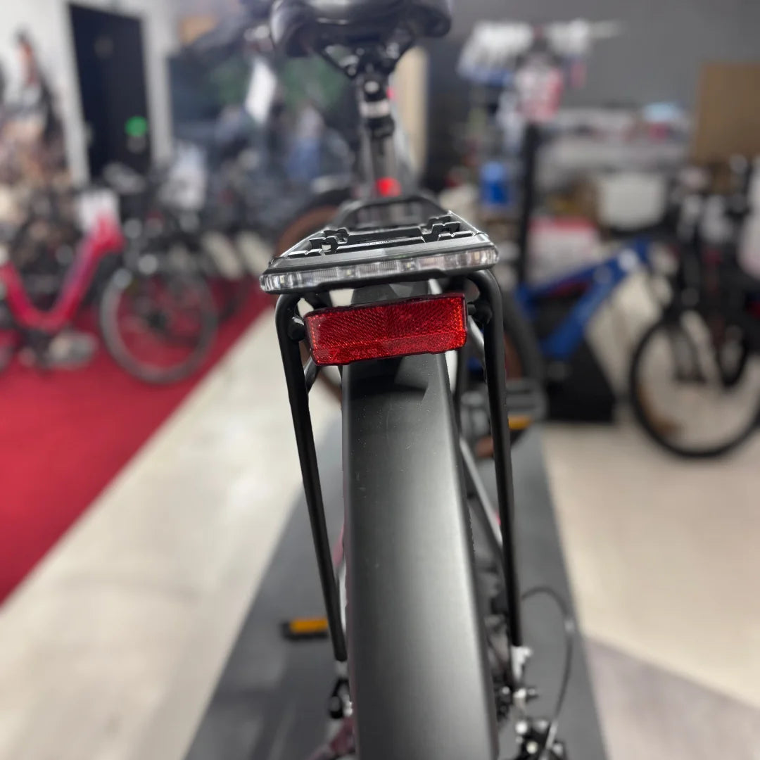 MALAGUTI trekking e-kolo Carezza TR 4.0 - 1.999€ - BOSCH
