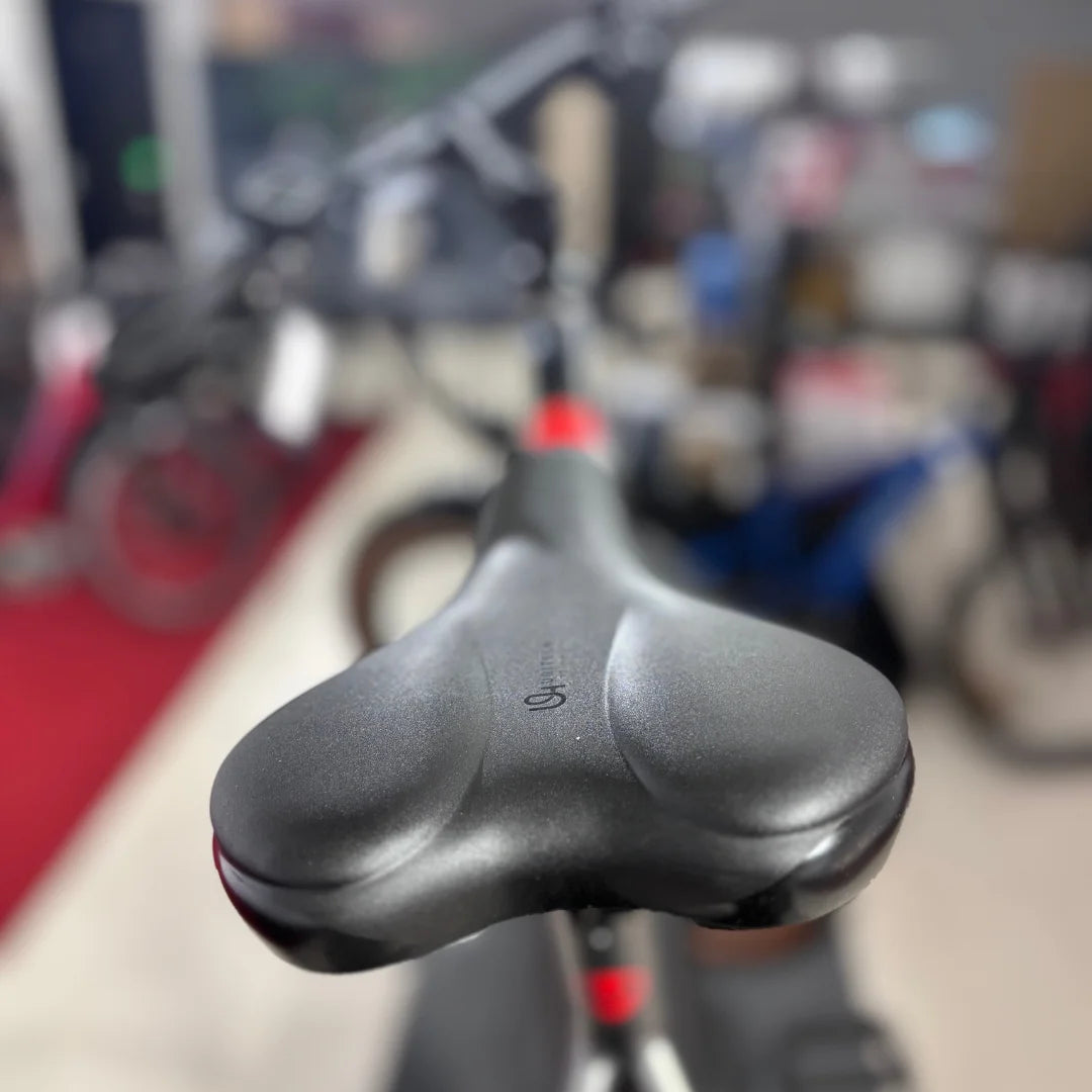 MALAGUTI trekking e-kolo Carezza TR 4.0 - 1.999€ - BOSCH