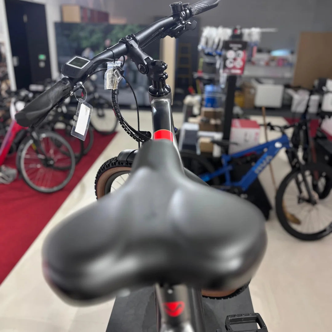 MALAGUTI trekking e-kolo Carezza TR 4.0 - 1.999€ - BOSCH